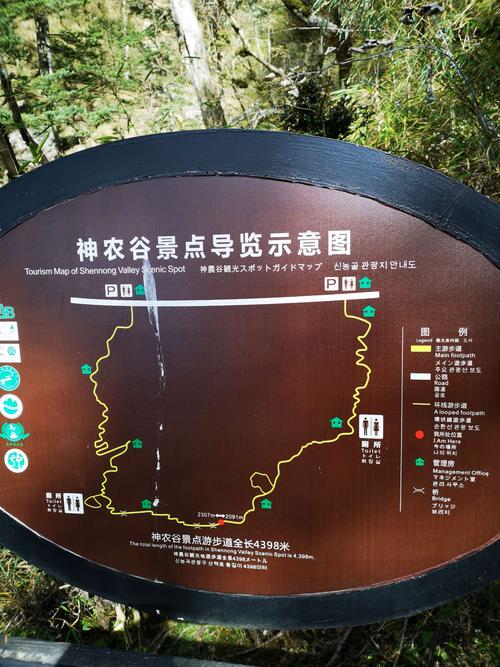 神农架天气穿衣建议?神农架天气查询?-第6张图片-巾百福 神农架天气穿衣建议?神农架天气查询?-第6张图片-巾百福