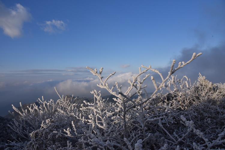 韶关天气预报15天？韶关天气预报15天当地？-第7张图片-巾百福