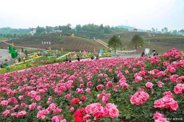 荣县天气预报15天,自贡市荣县天气预报15天-第3张图片-巾百福 荣县天气预报15天,自贡市荣县天气预报15天-第3张图片-巾百福