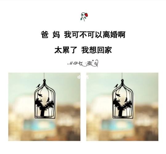 2020宁夏限号吗,宁夏限号规定?-第6张图片-巾百福 2020宁夏限号吗,宁夏限号规定?-第6张图片-巾百福